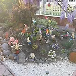 Casa Verde