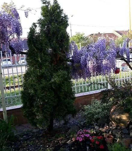 Casa Verde