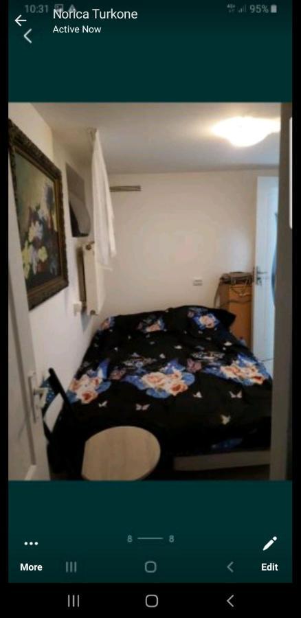 Casa Apartment Timişoara